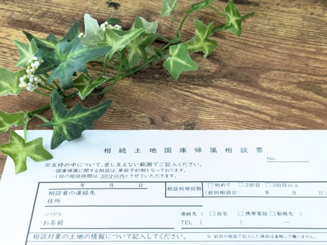 相続土地国庫帰属制度とは？不要な土地を手放す方法と注意点を税理士が解説