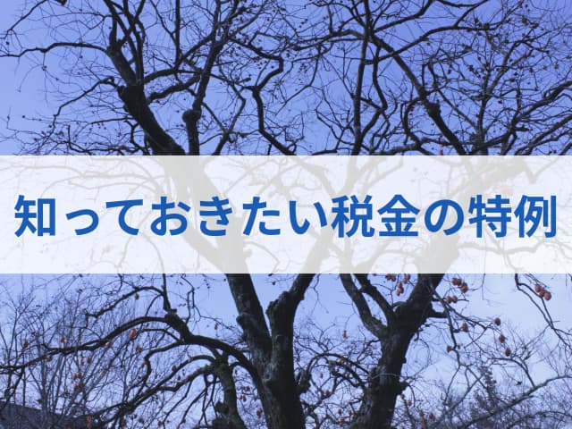 マイホーム売却の3,000万円特別控除とは？適用要件と実務上の注意点を税理士が解説