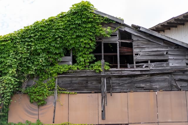 低未利用土地の譲渡100万円控除とは?空き家・空き地売却の要件を税理士が解説